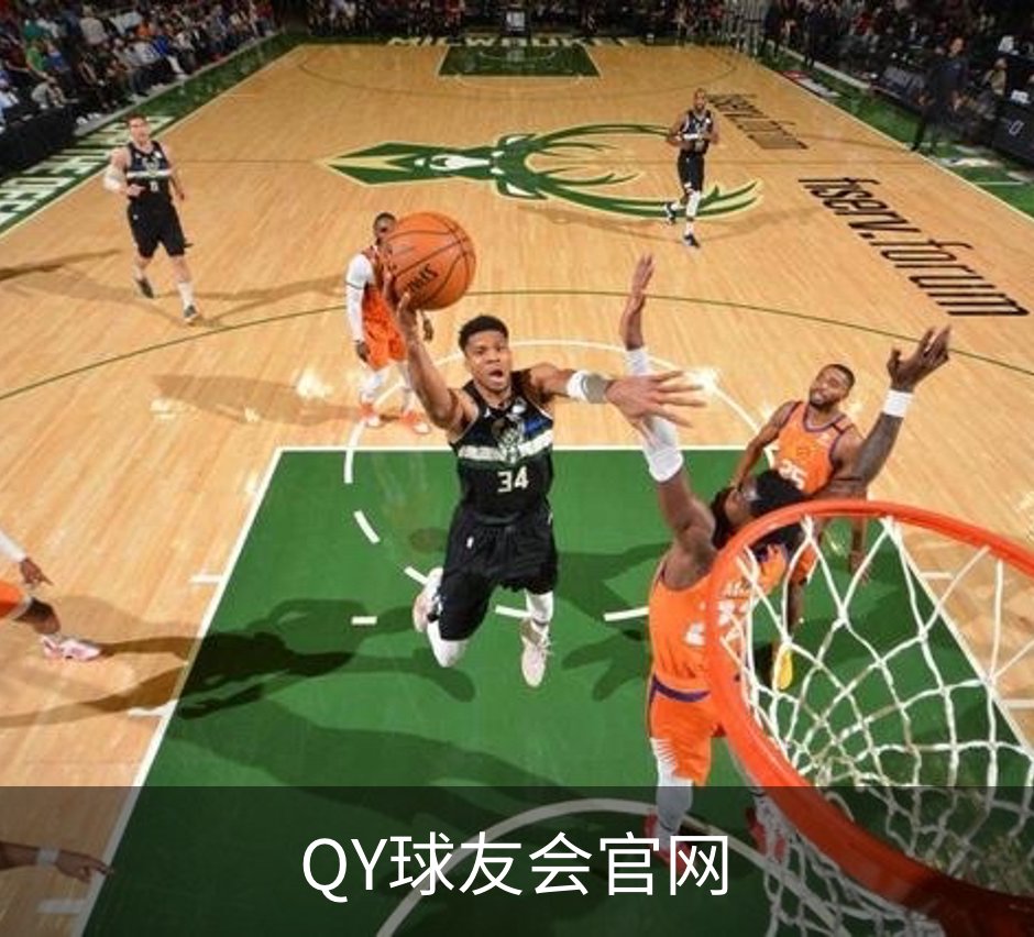 QY球友会官网简介